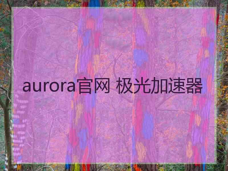 aurora官网 极光加速器
