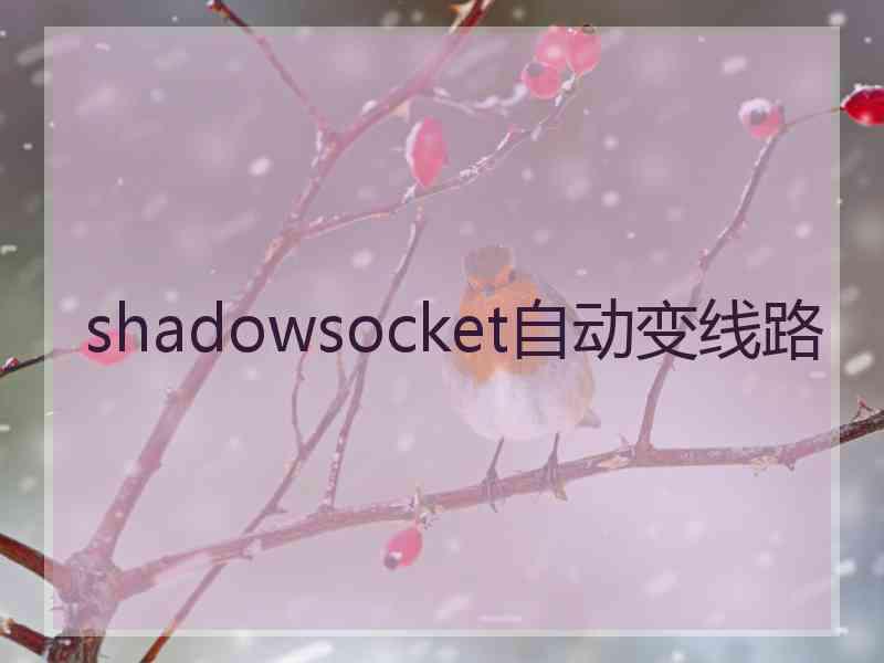 shadowsocket自动变线路
