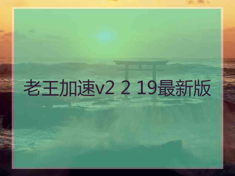 老王加速v2 2 19最新版