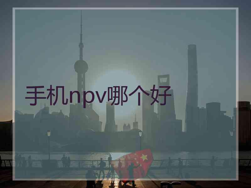 手机npv哪个好 手机npv哪个好