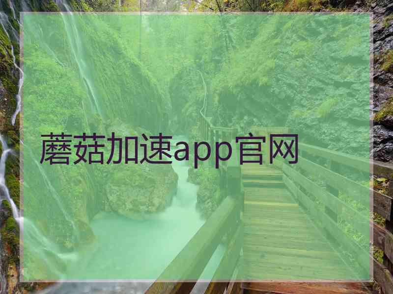 蘑菇加速app官网 蘑菇加速app官网