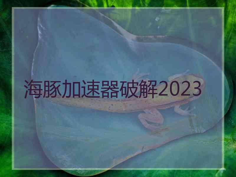 海豚加速器破解2023