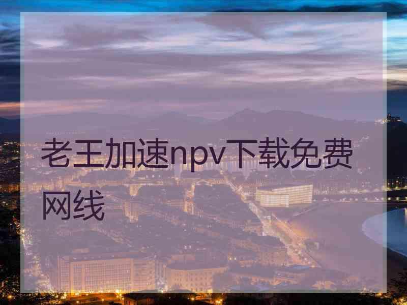 老王加速npv下载免费网线