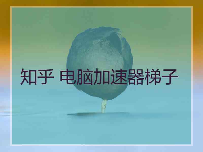 知乎 电脑加速器梯子 知乎 电脑加速器梯子