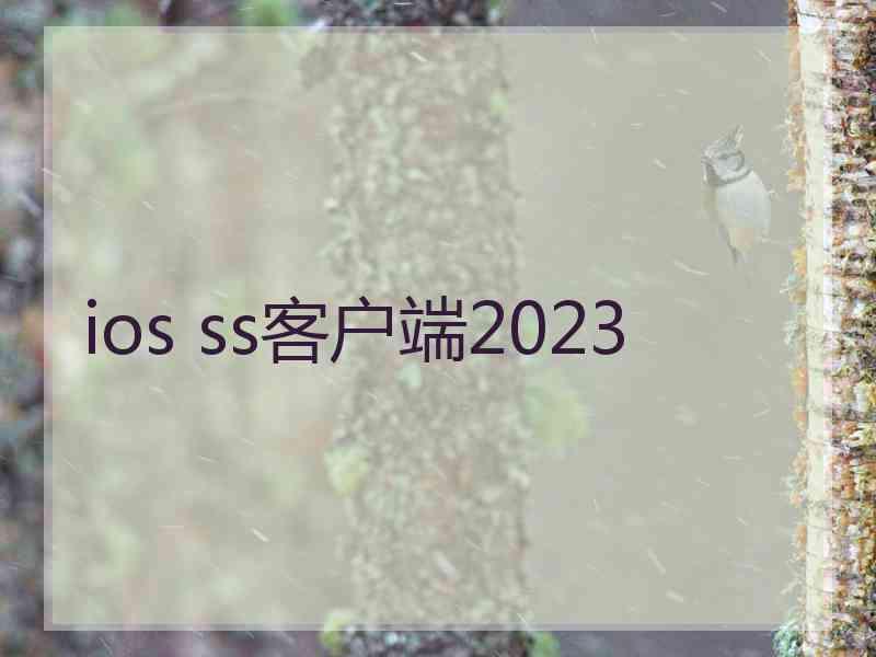 ios ss客户端2023