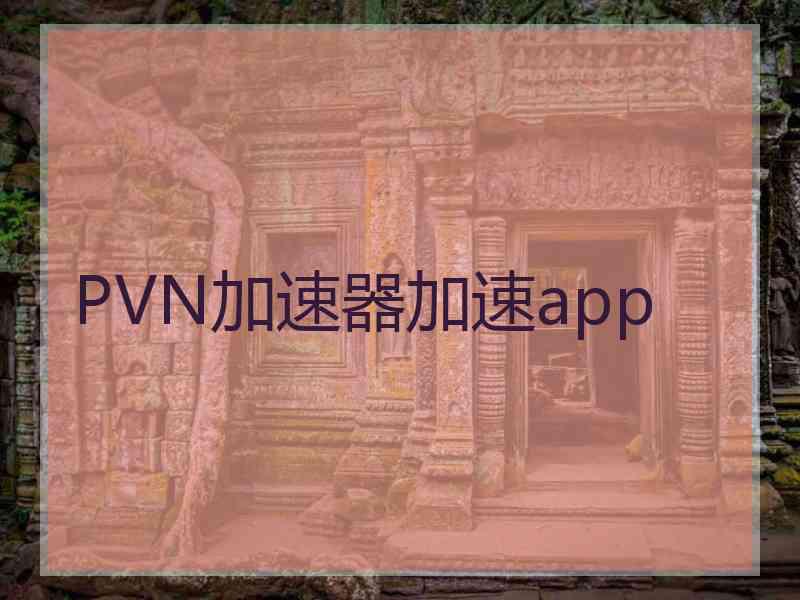 PVN加速器加速app
