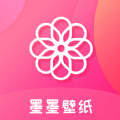 电脑国内google加速软件