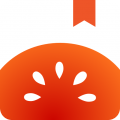 老王vp2.2.
