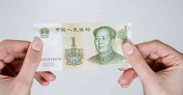 Turbo软件