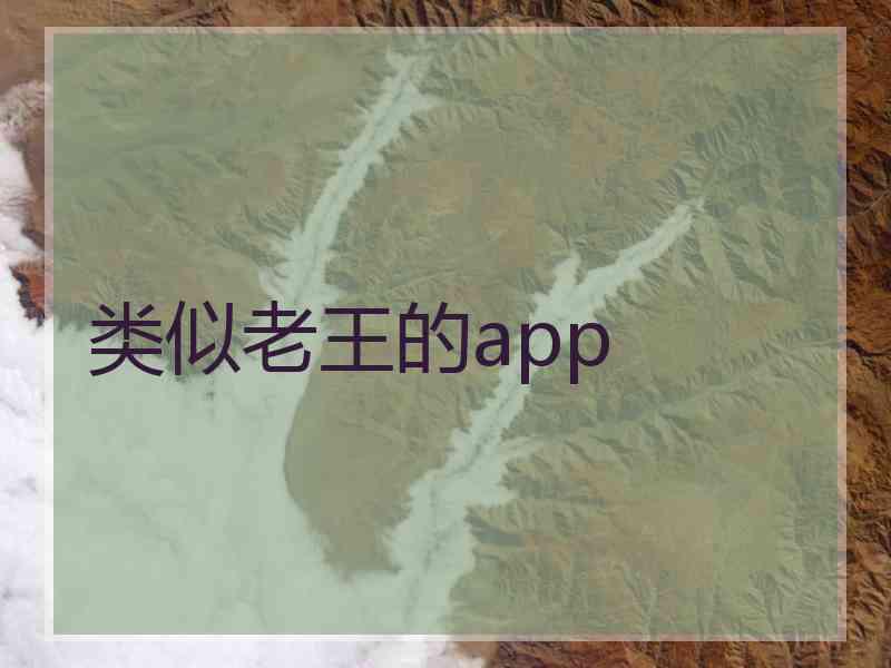 类似老王的app