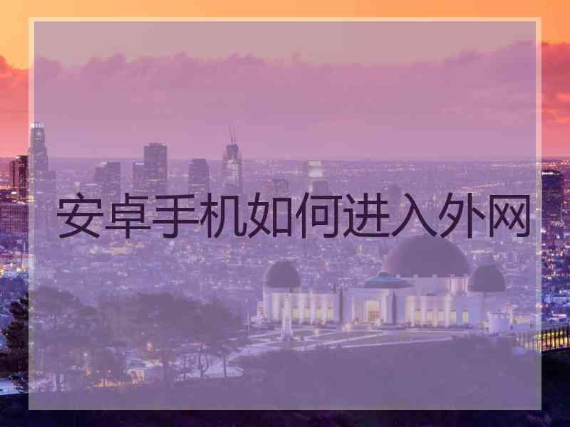 安卓手机如何进入外网