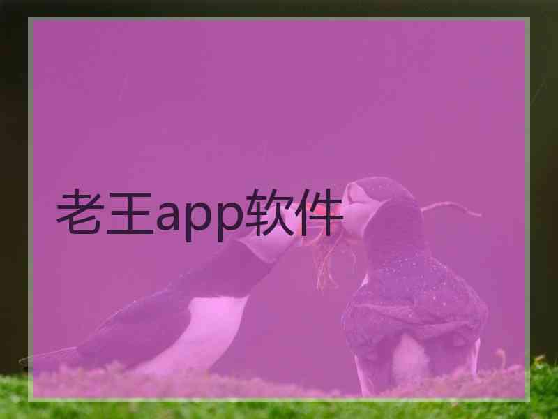 老王app软件