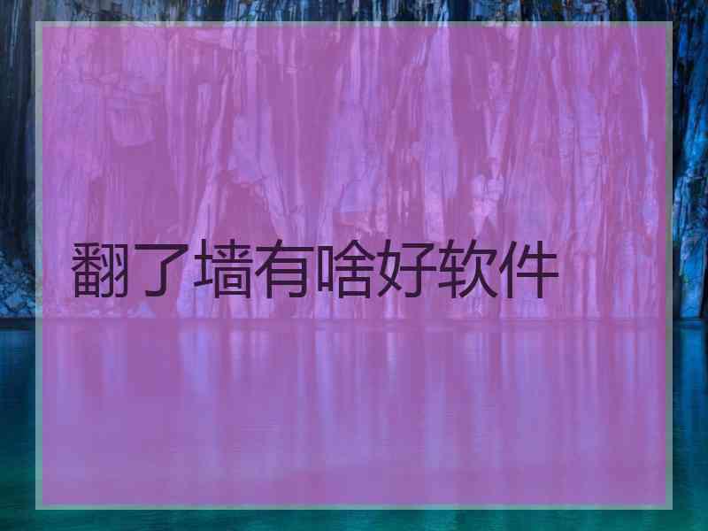 翻了墙有啥好软件