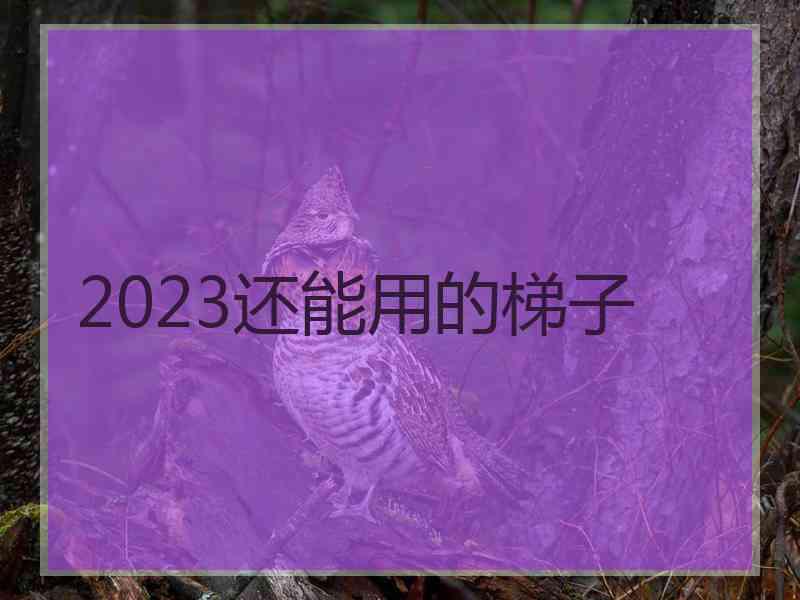 2023还能用的梯子