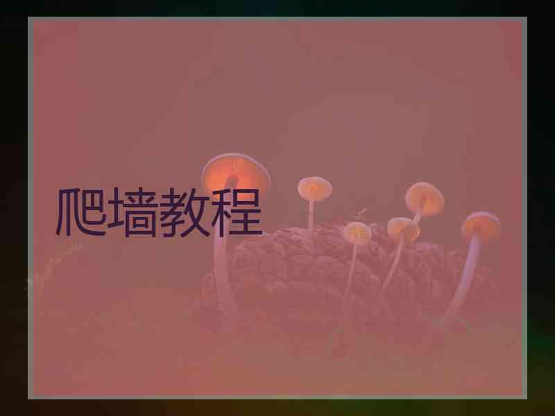 爬墙教程