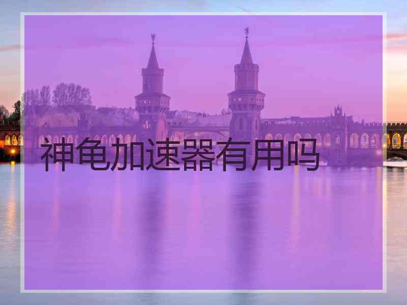 神龟加速器有用吗