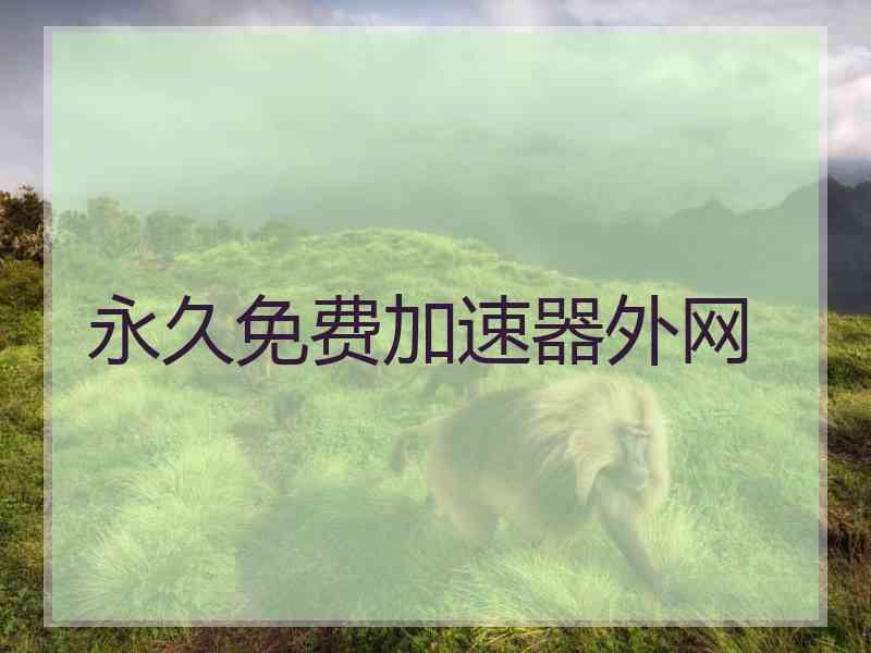 永久免费加速器外网