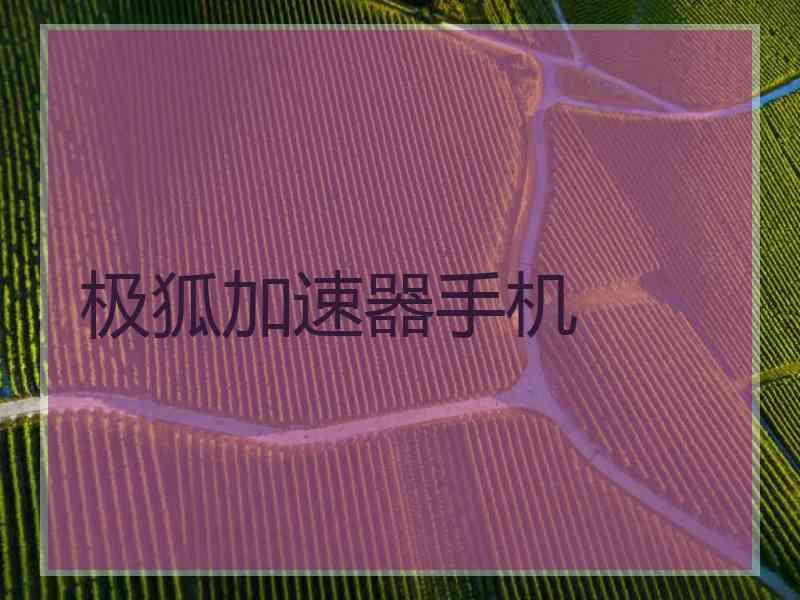 极狐加速器手机