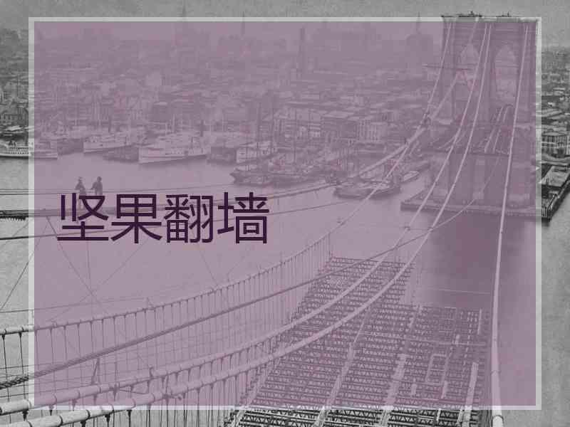 坚果翻墙