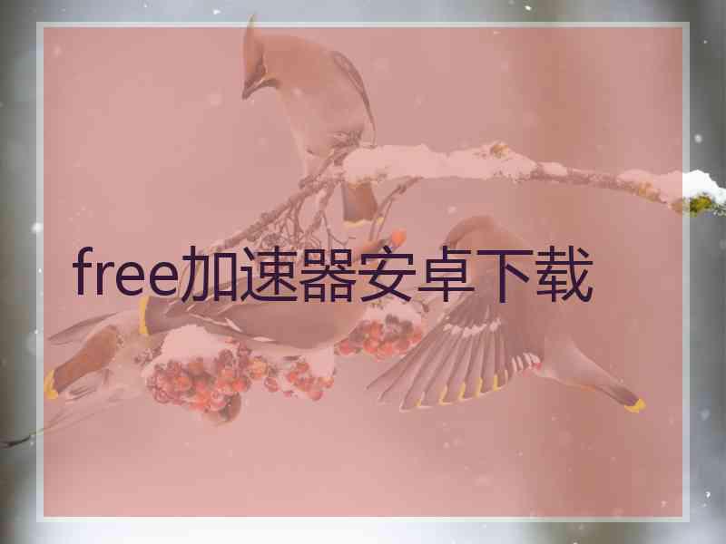 free加速器安卓下载