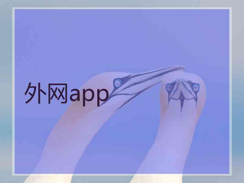 外网app