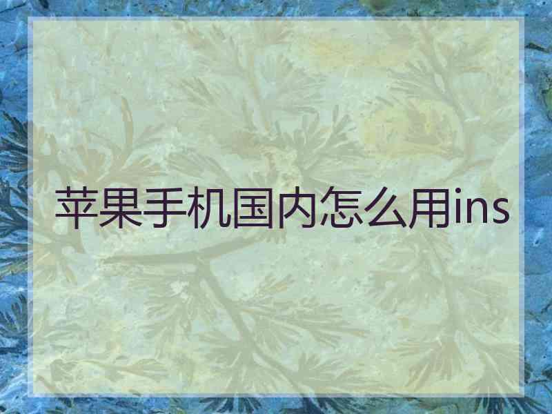 苹果手机国内怎么用ins