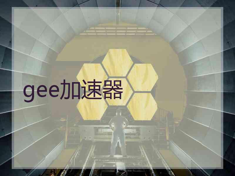 gee加速器