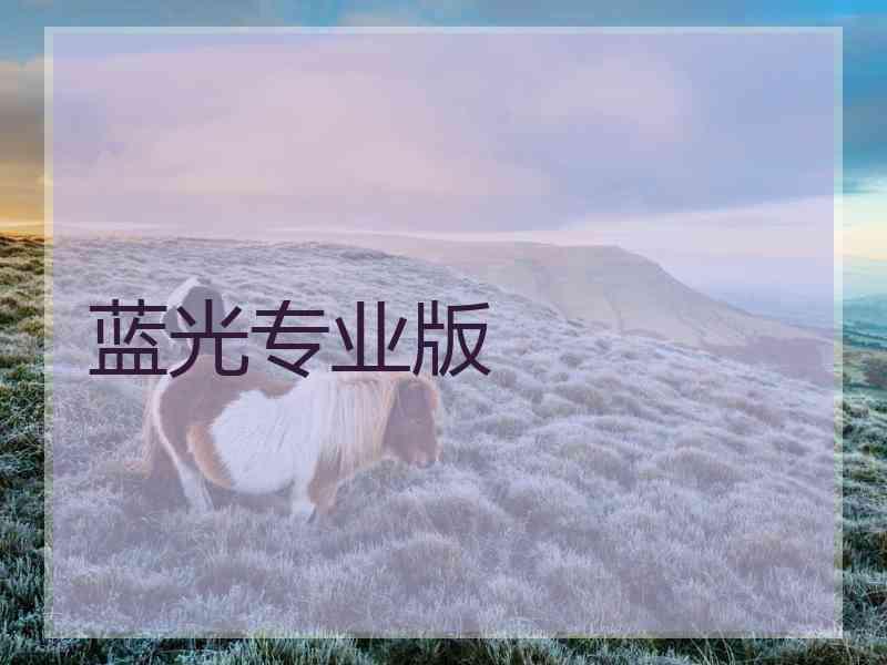 蓝光专业版