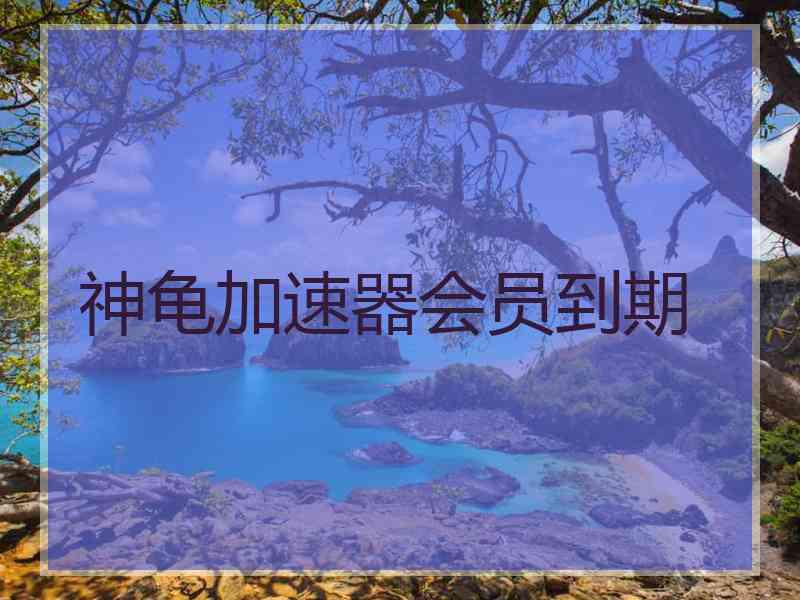 神龟加速器会员到期