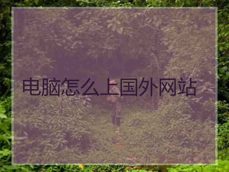 电脑怎么上国外网站