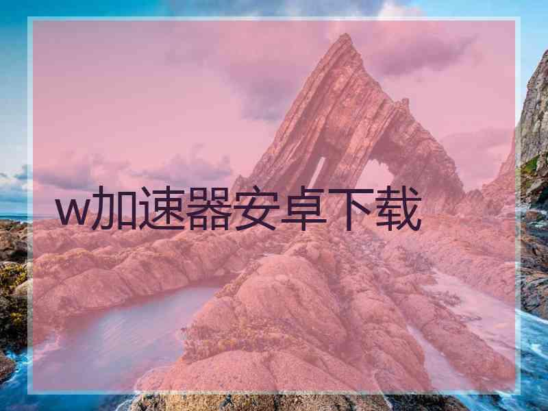 w加速器安卓下载