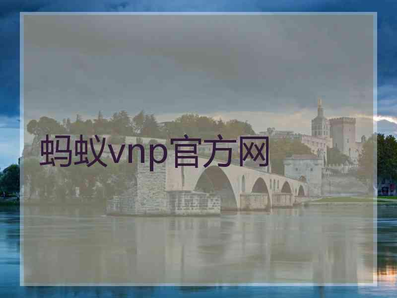 蚂蚁vnp官方网