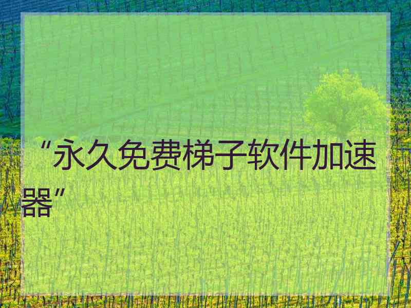 “永久免费梯子软件加速器”