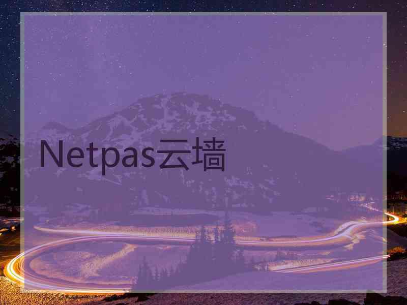 Netpas云墙