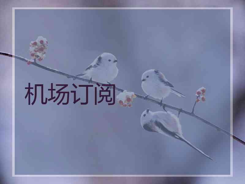 机场订阅