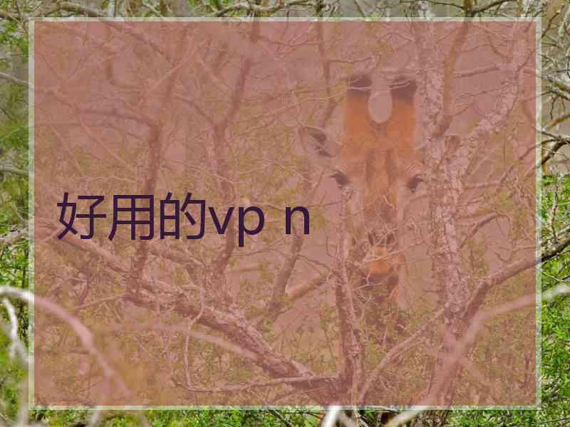 好用的vp n
