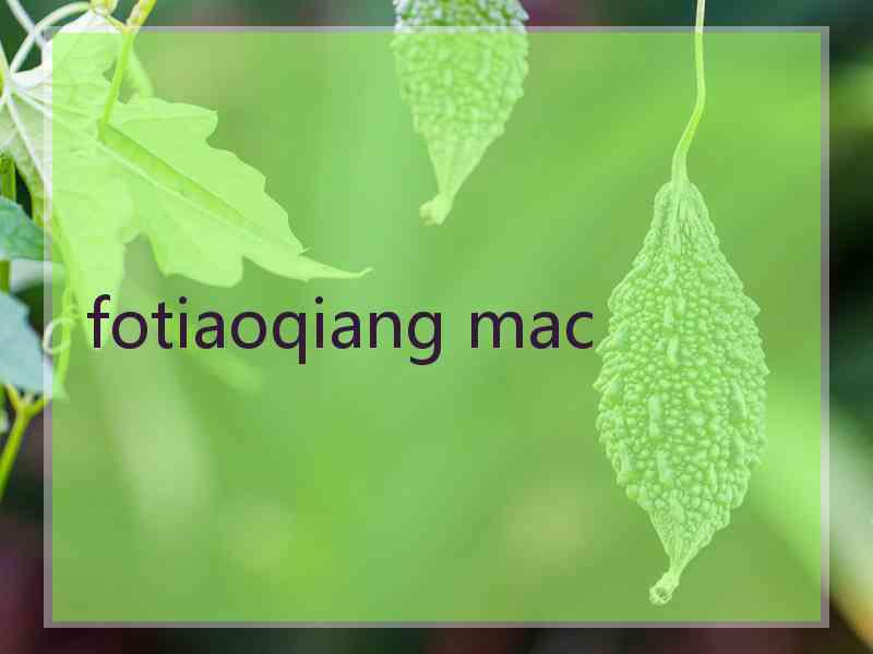 fotiaoqiang mac