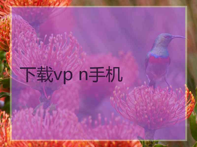 下载vp n手机