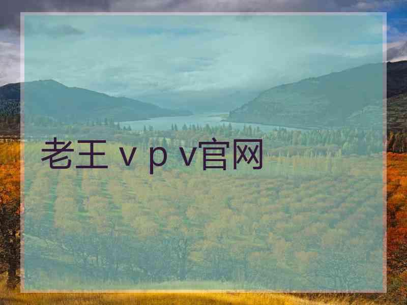 老王 v p v官网