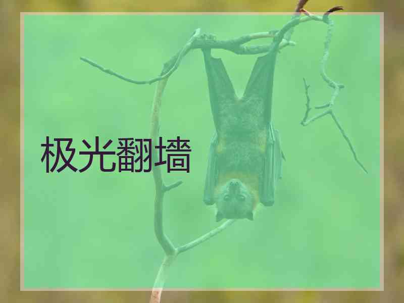 极光翻墻