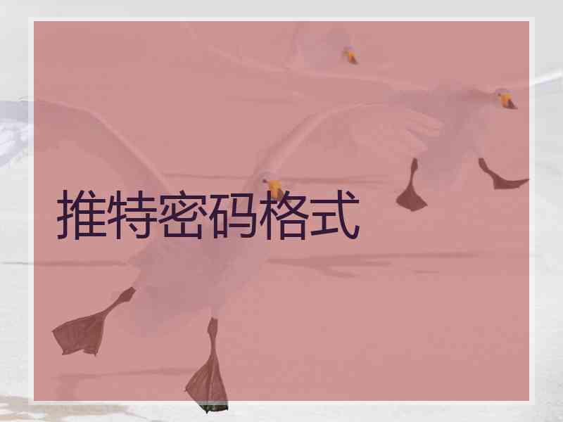 推特密码格式