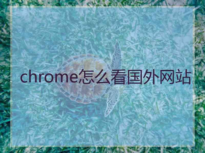 chrome怎么看国外网站