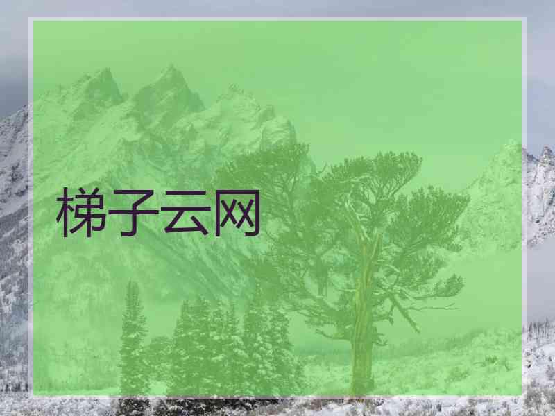 梯子云网