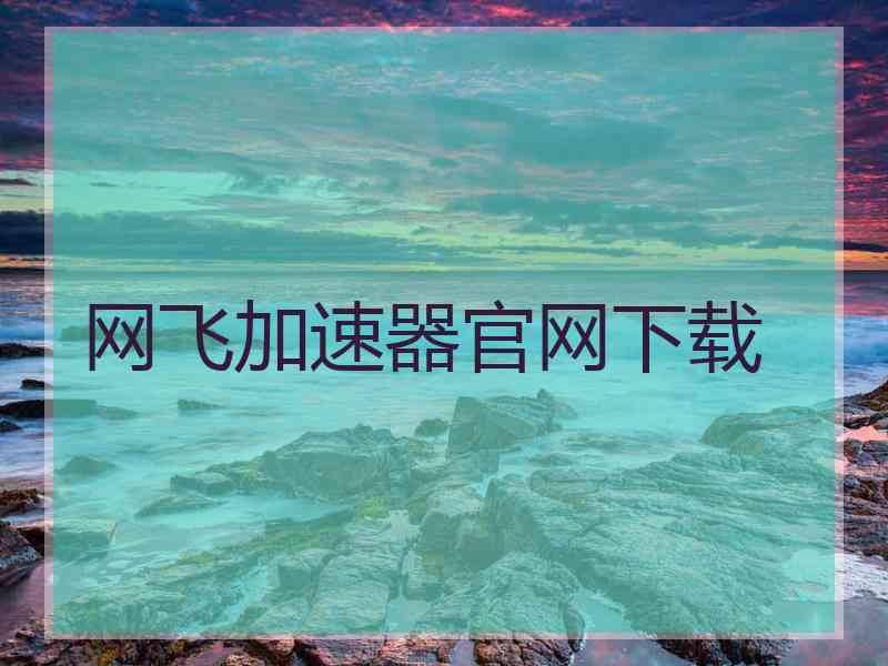 网飞加速器官网下载