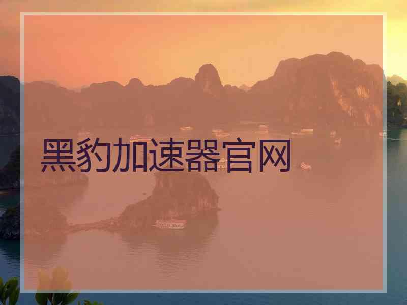 黑豹加速器官网