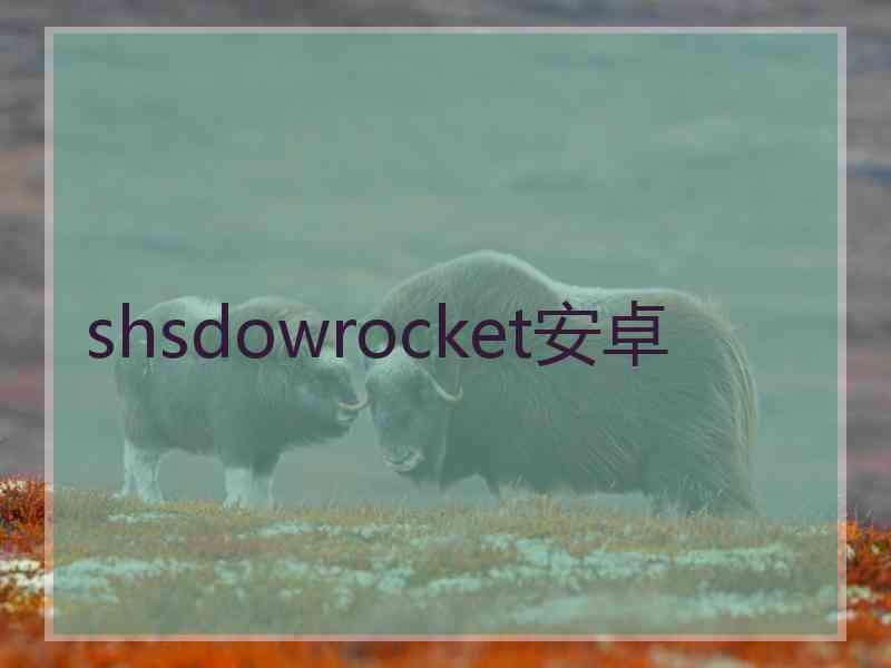 shsdowrocket安卓