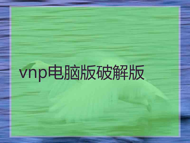 vnp电脑版破解版