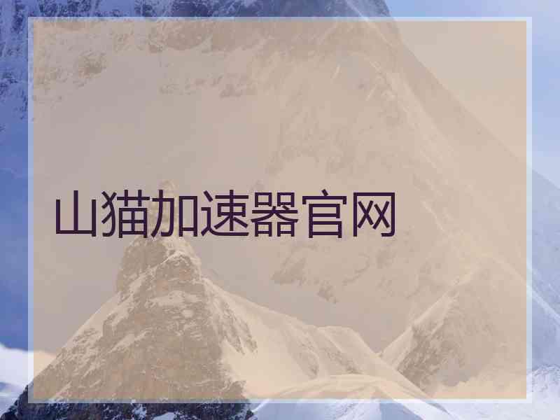 山猫加速器官网