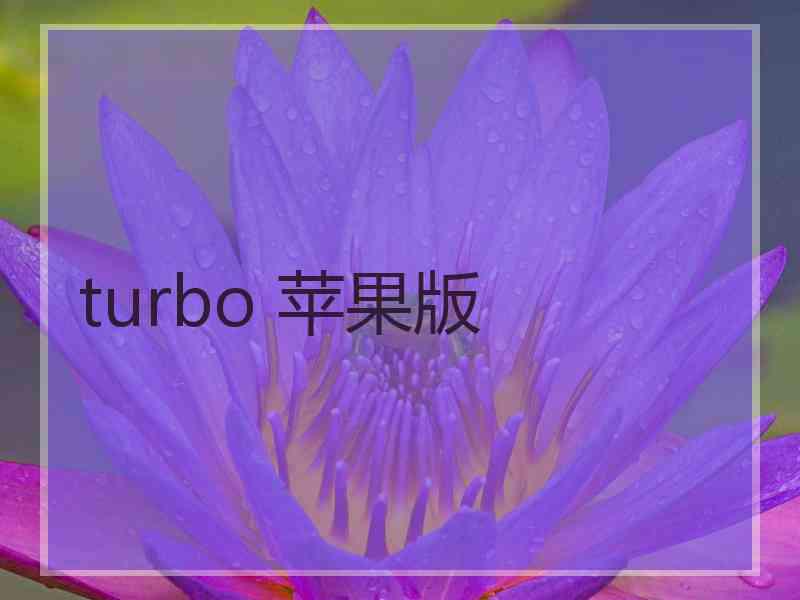 turbo 苹果版