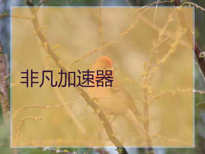 非凡加速器